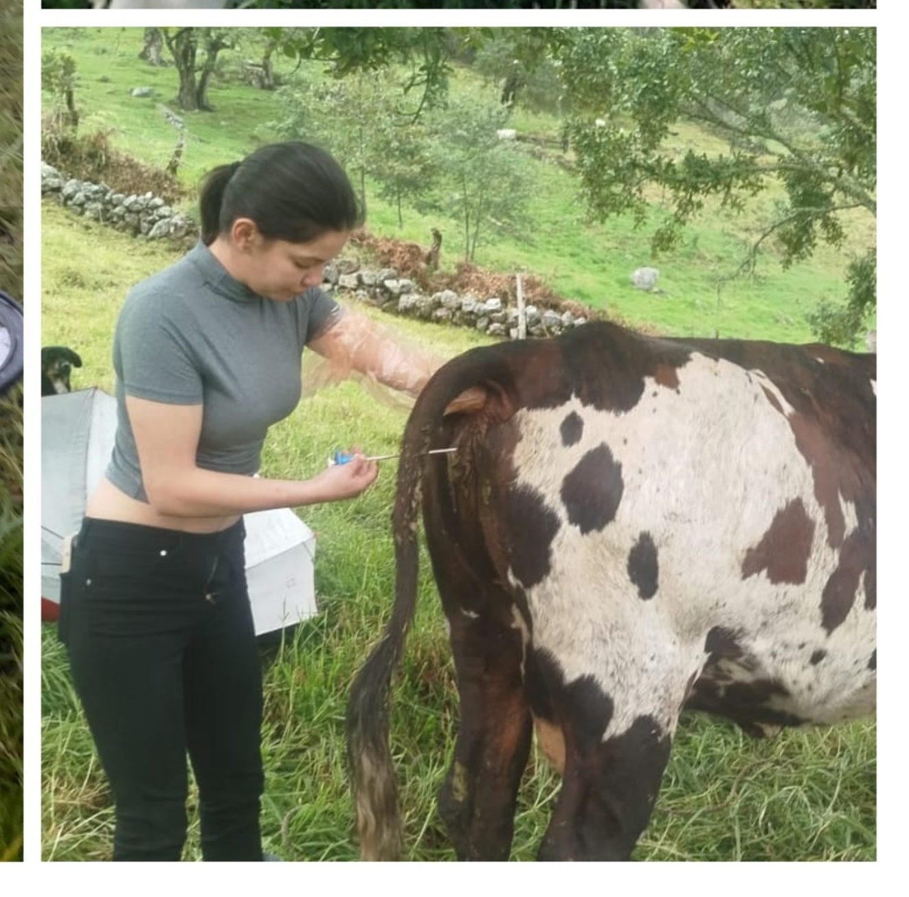 20240929 212655 collage