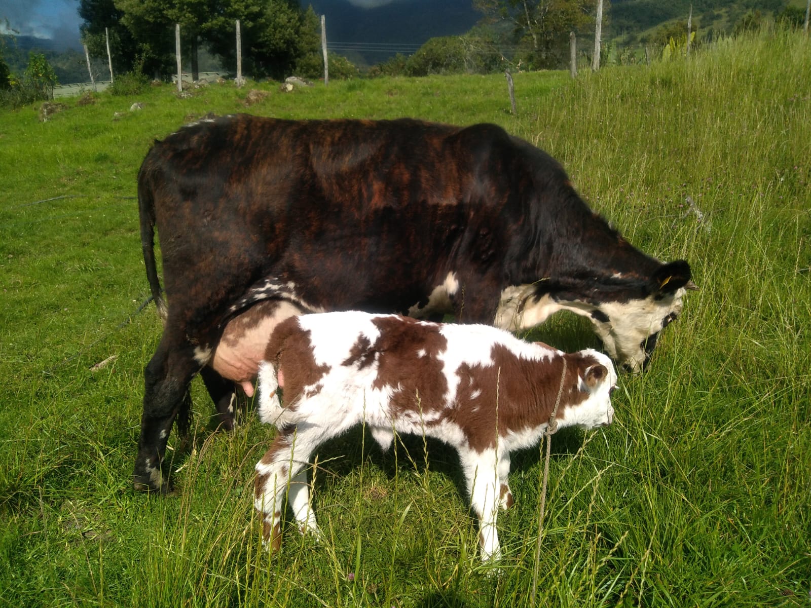 imagen de whatsapp 2025 11 24 a las 21.11.34 05b9b16c