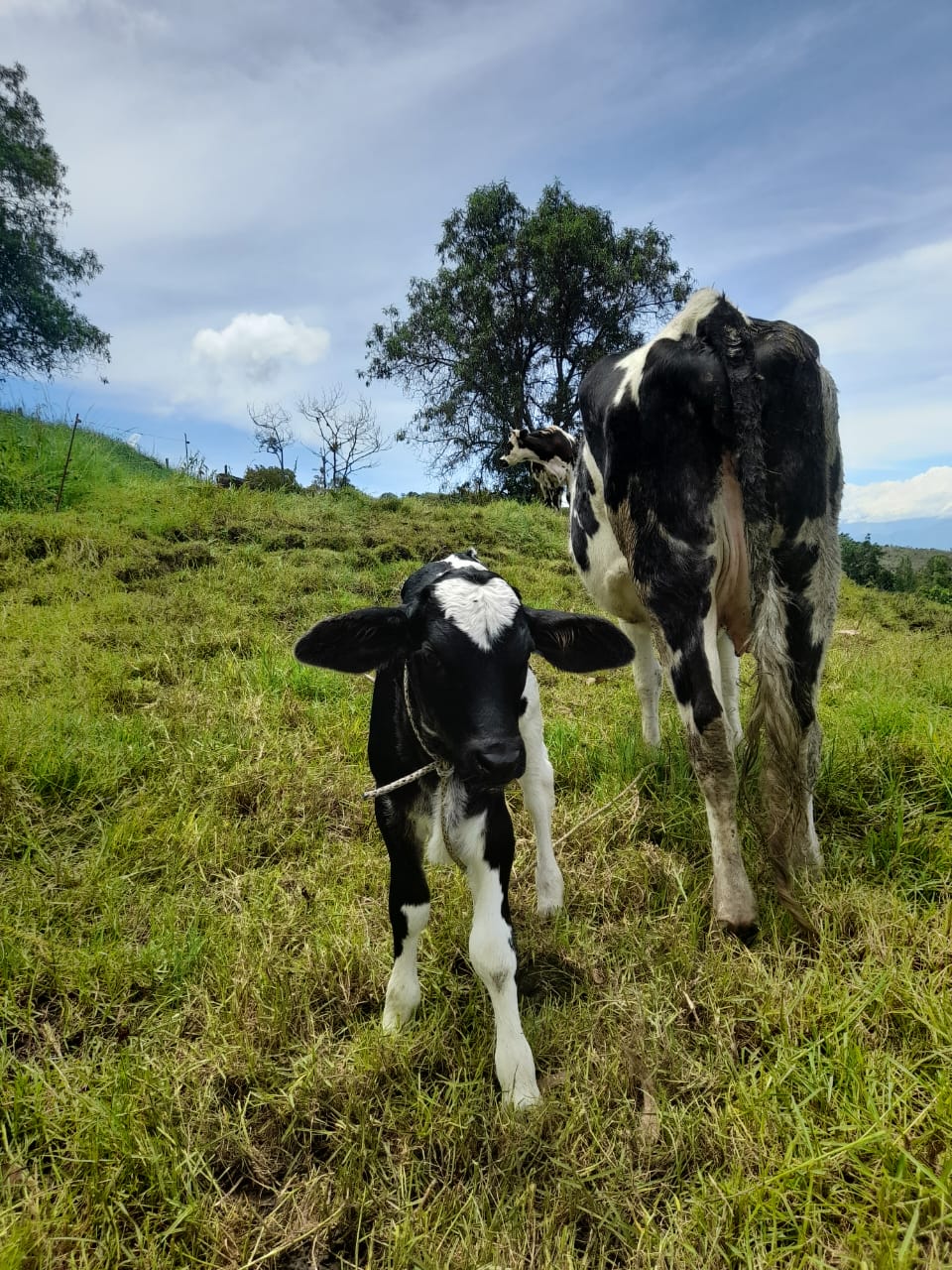 imagen de whatsapp 2025 11 24 a las 21.11.34 4b7dd100