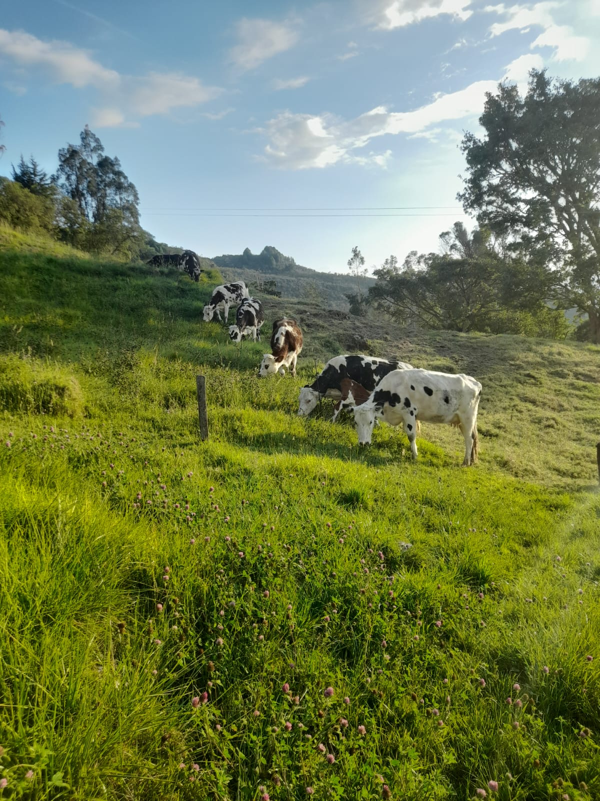 imagen de whatsapp 2025 11 24 a las 22.13.46 bf6e1036