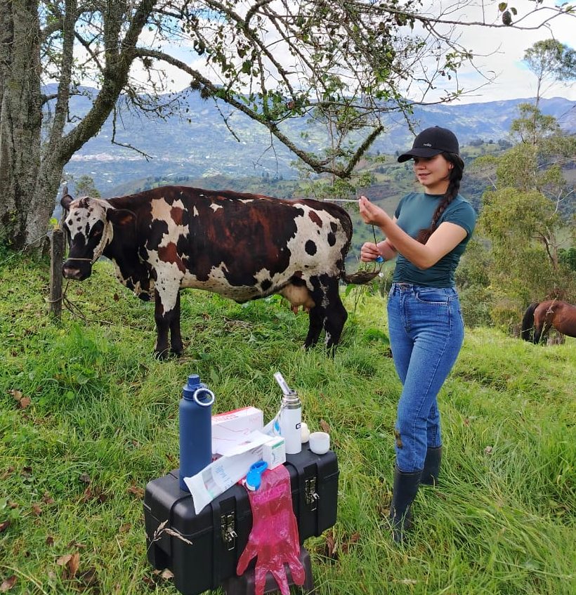 imagen de whatsapp 2025 11 26 a las 23.29.41 5cb745e2