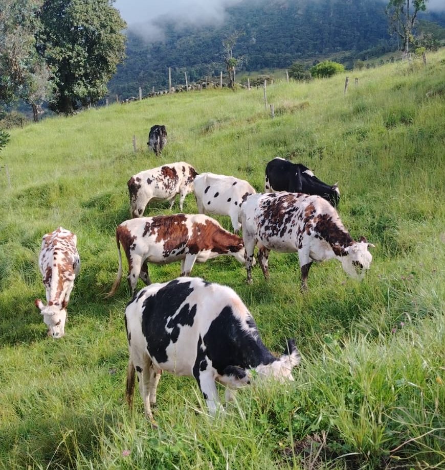 whatsapp image 2026 01 27 at 10.39.16 pm