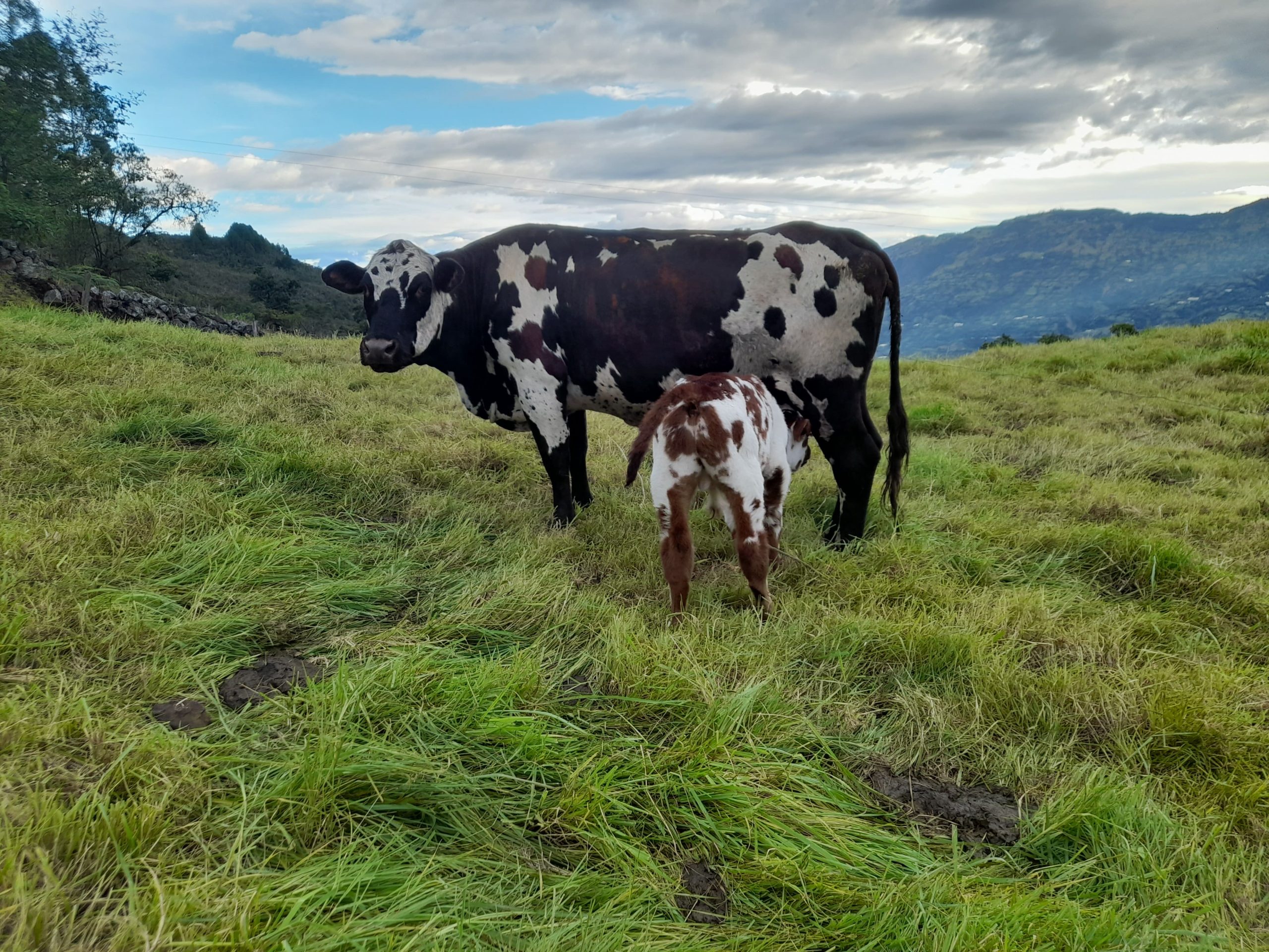 20230615 172422 (1)[1]