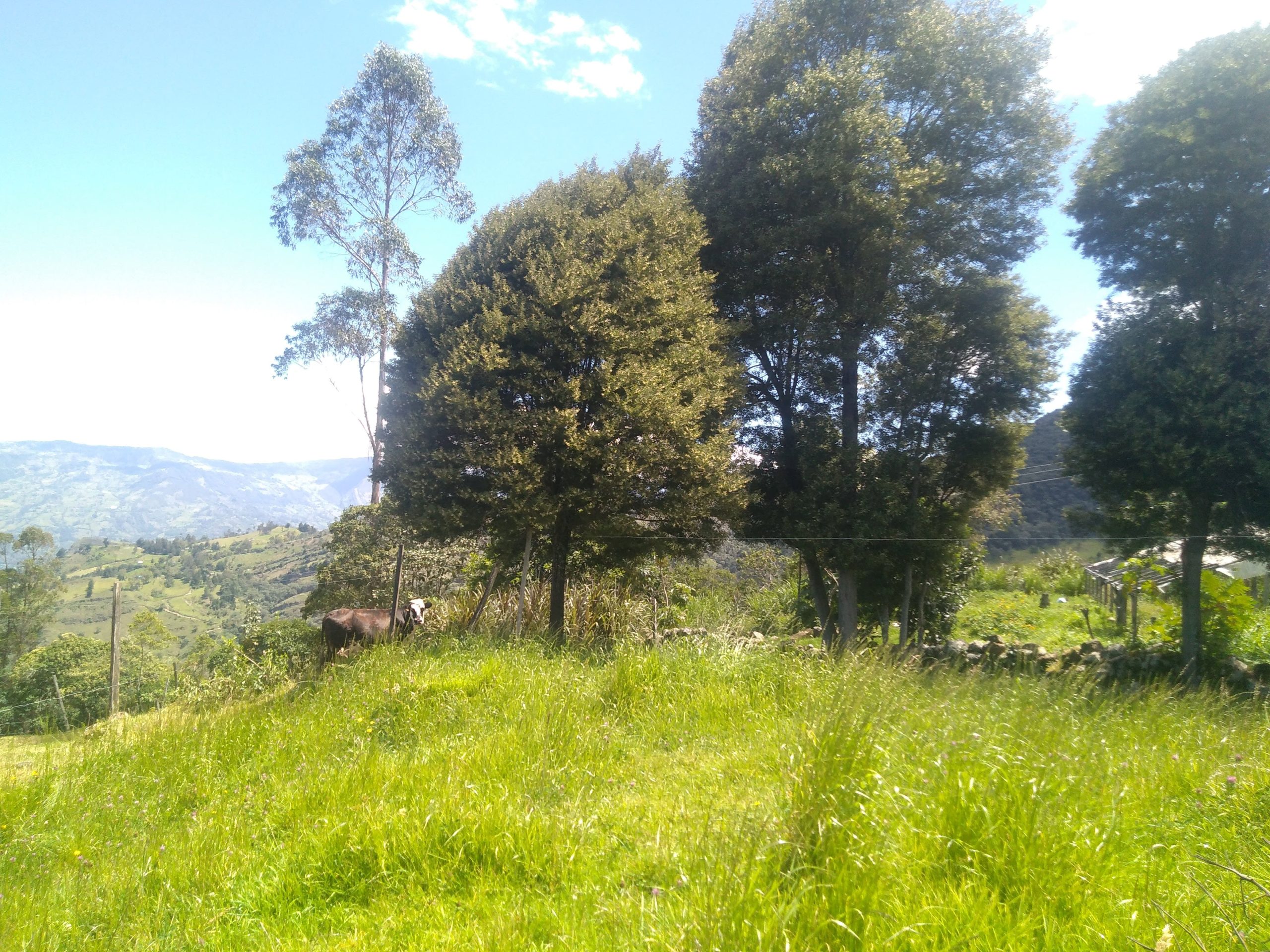 img 20210715 110823[1]