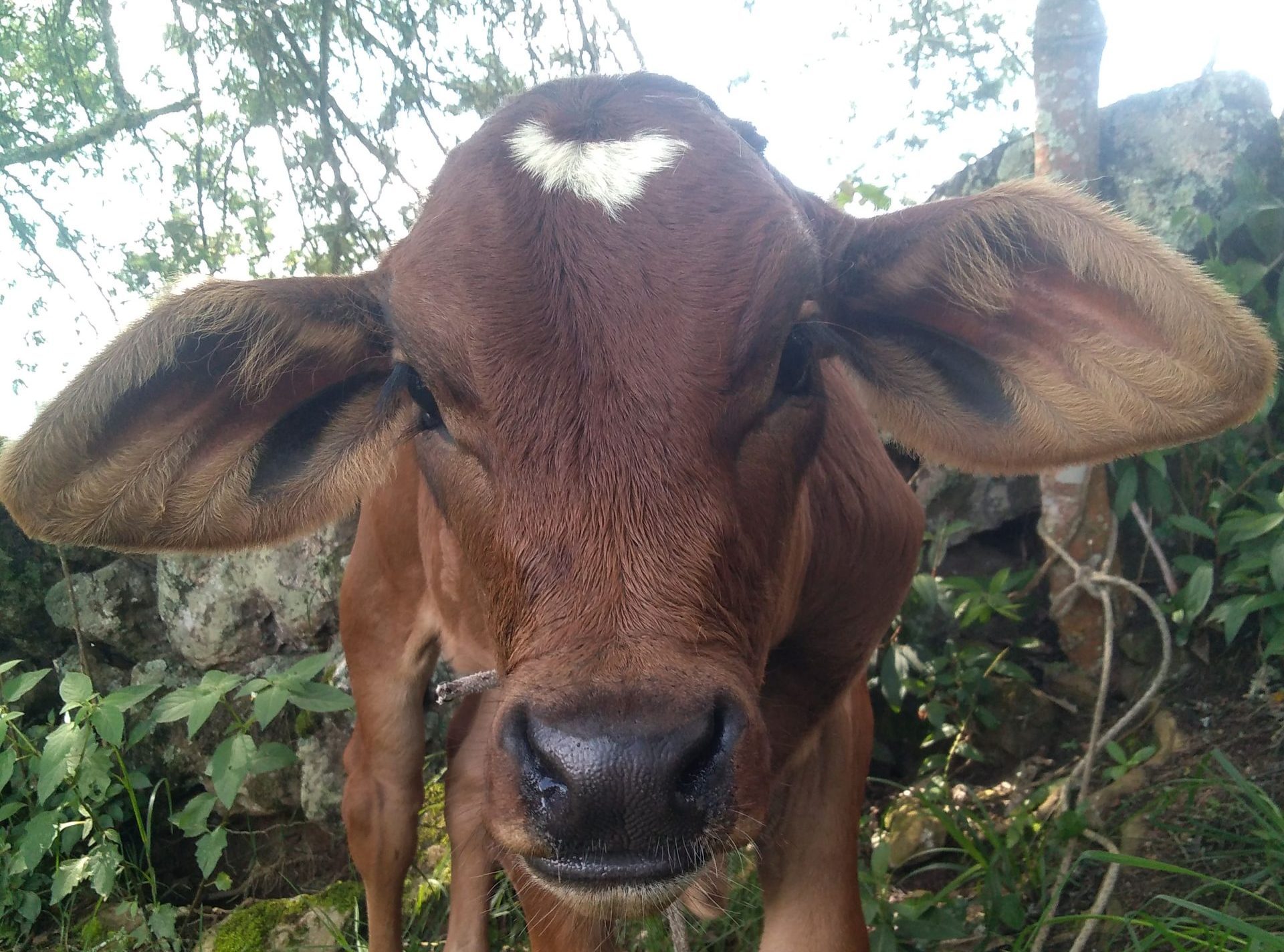 img 20220409 143152[1]