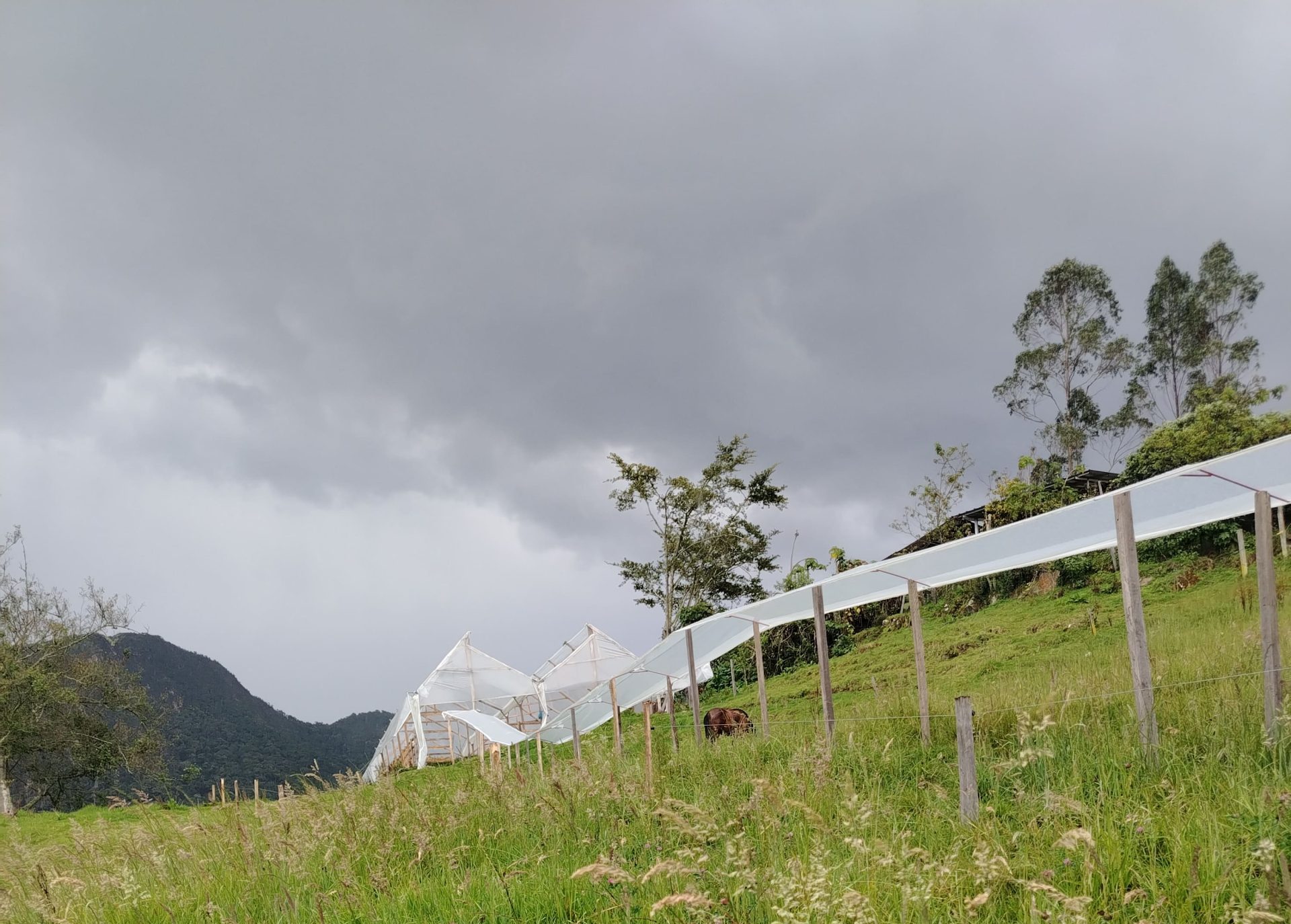 img 20260130 161807[1]