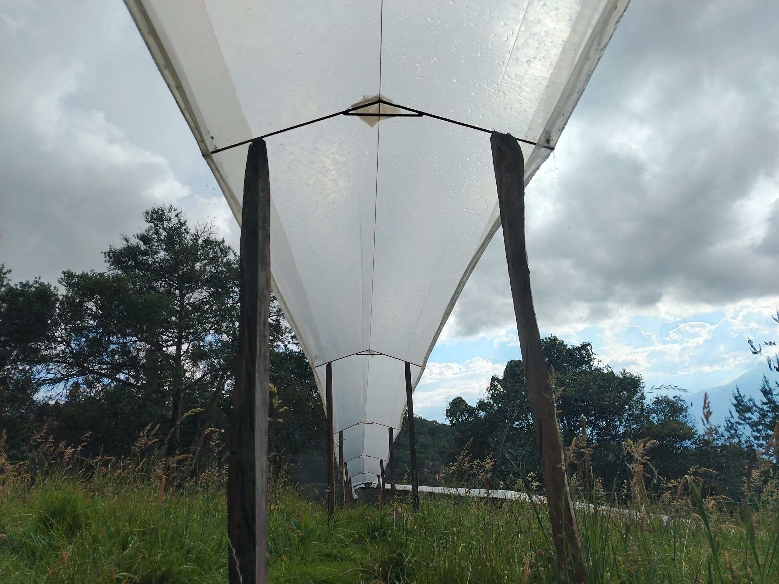 img 20260130 161906[1]