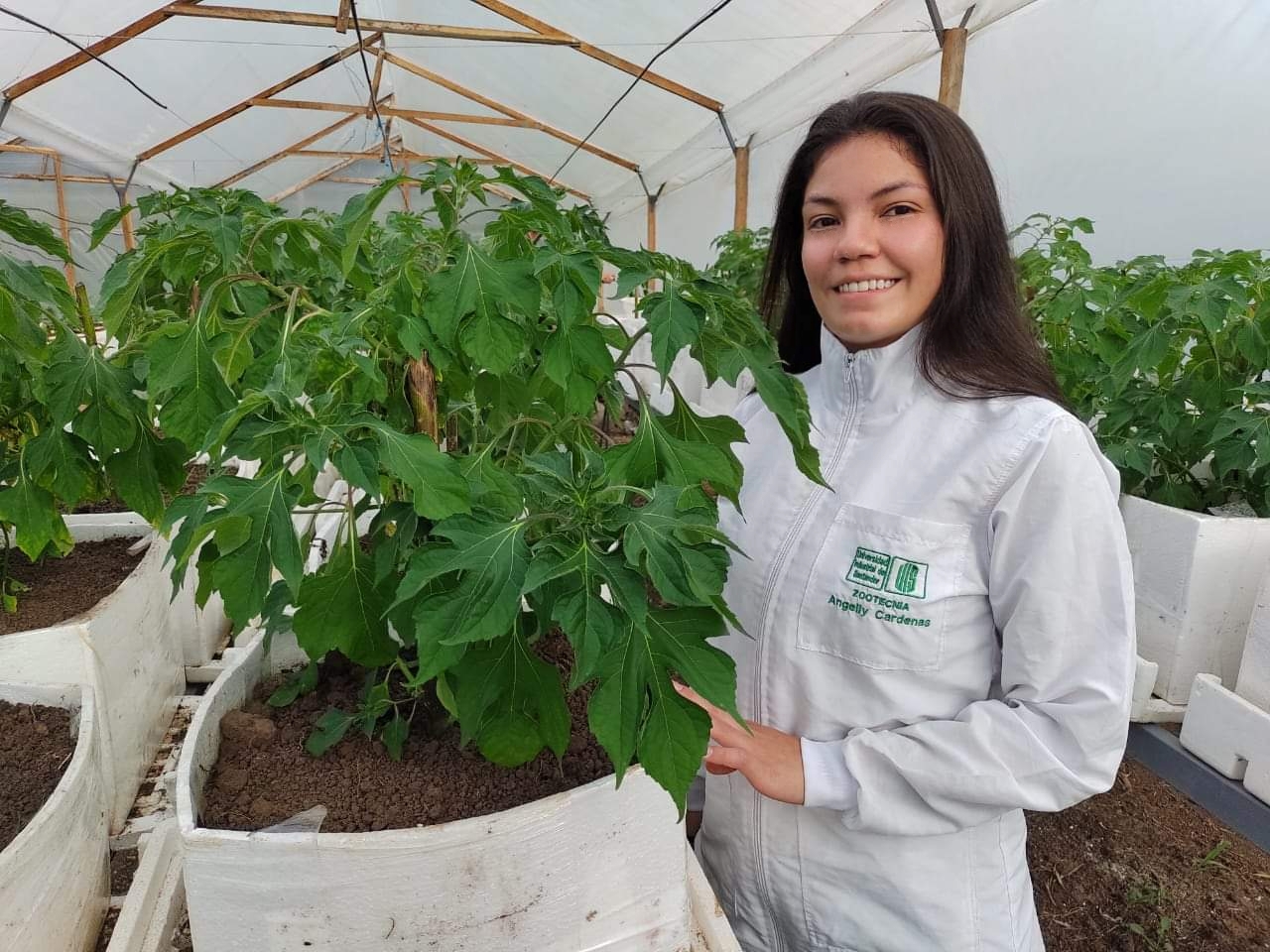 whatsapp image 2026 02 01 at 1.00.39 pm